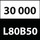 11 L80_30000_h.jpg